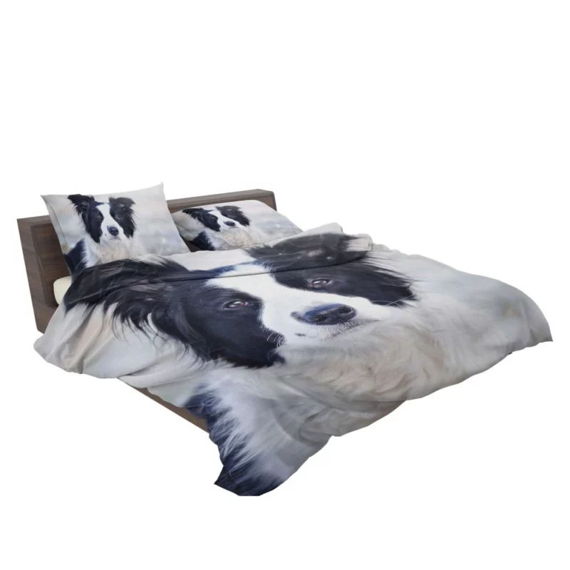 Border Collie in Bokeh Playful Elegance Bedding Set 2