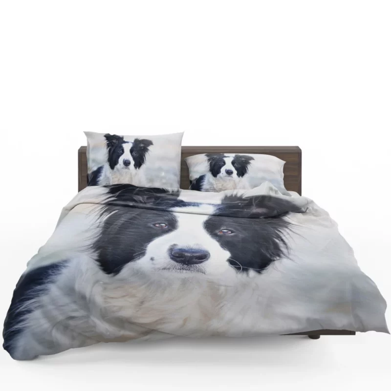 Border Collie in Bokeh Playful Elegance Bedding Set