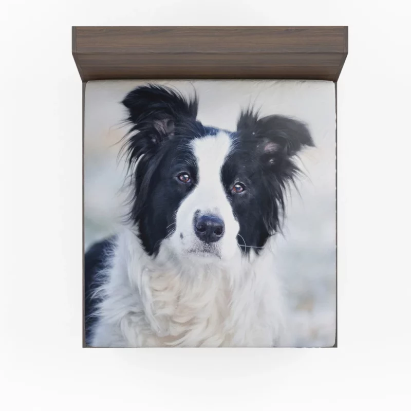 Border Collie in Bokeh Playful Elegance Fitted Sheet 1