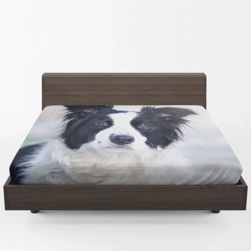 Border Collie in Bokeh Playful Elegance Fitted Sheet