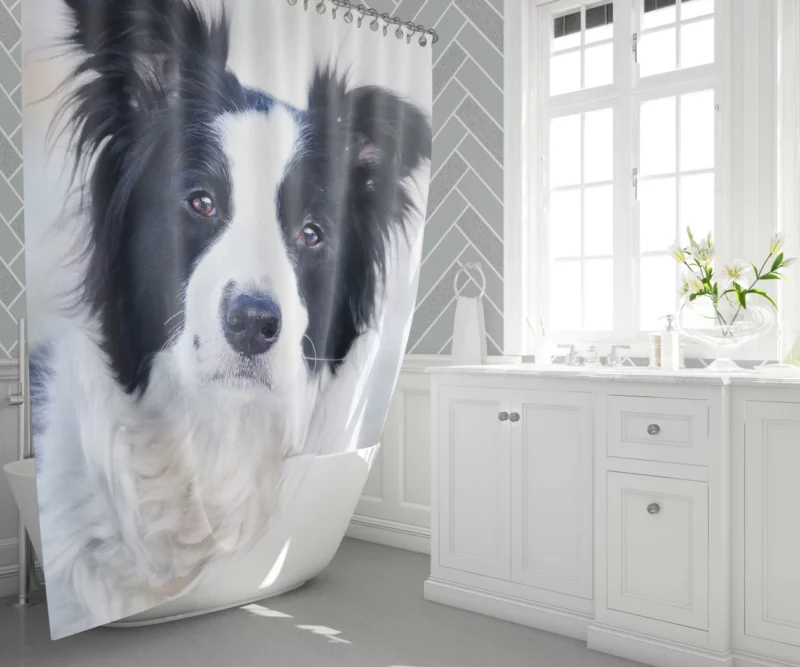 Border Collie in Bokeh Playful Elegance Shower Curtain 1