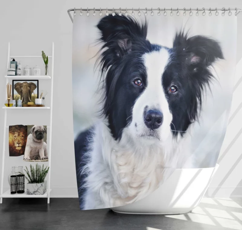 Border Collie in Bokeh Playful Elegance Shower Curtain