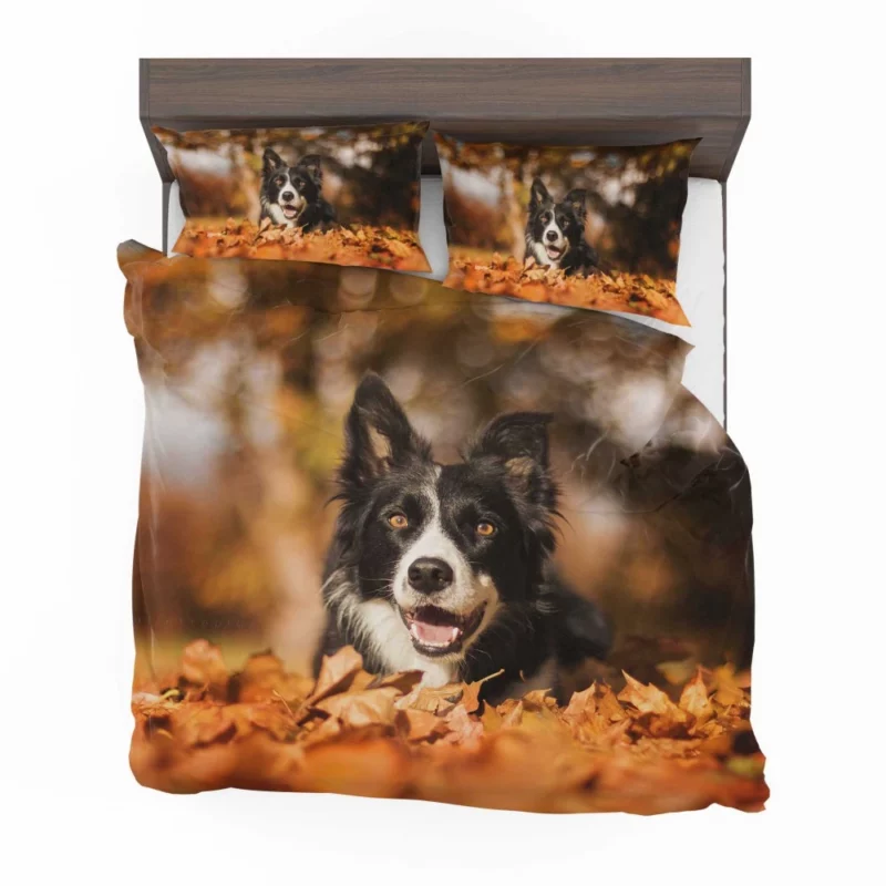 Border Collie in Fall Delight Bedding Set 1