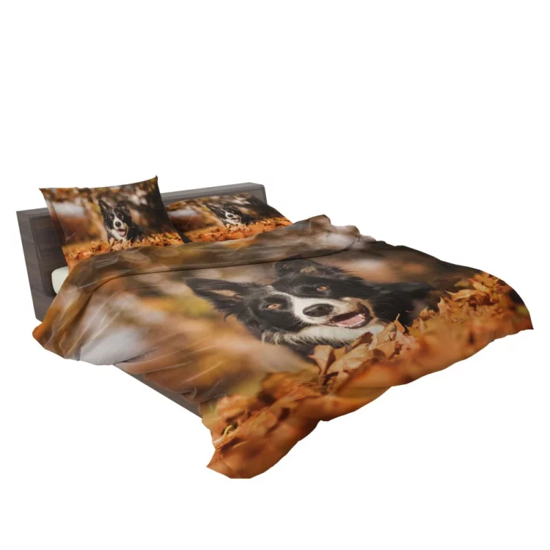 Border Collie in Fall Delight Bedding Set 2