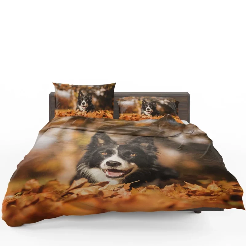 Border Collie in Fall Delight Bedding Set