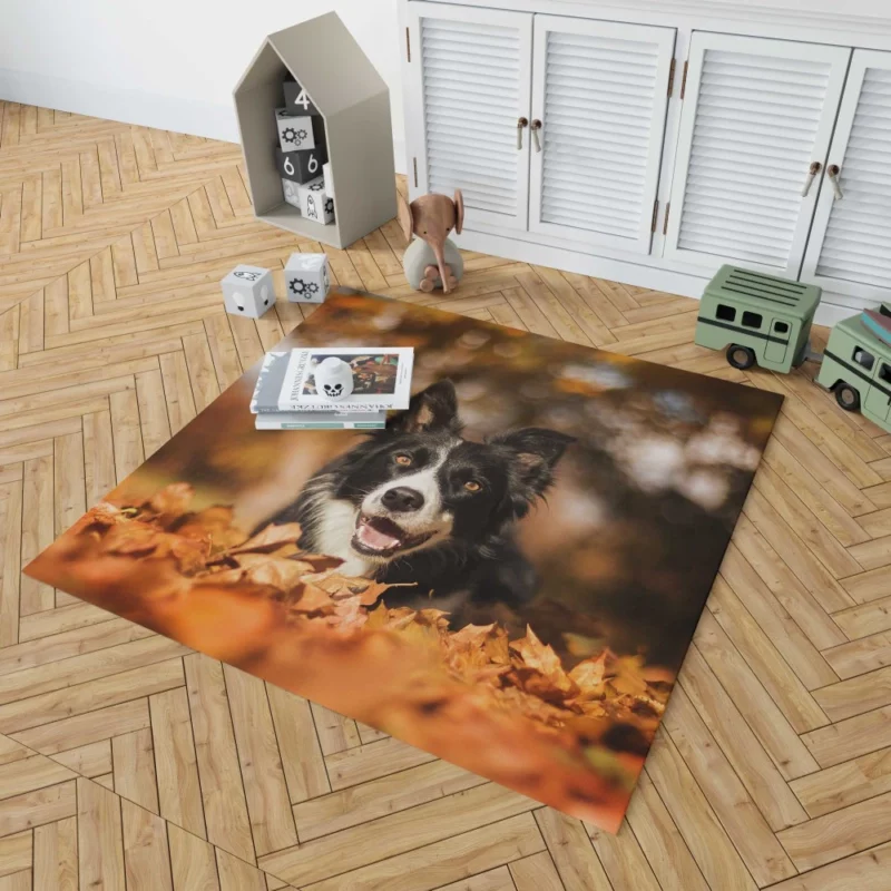 Border Collie in Fall Delight Rug 1