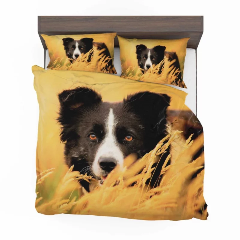 Border Collie in Golden Wheat Field Bedding Set 1