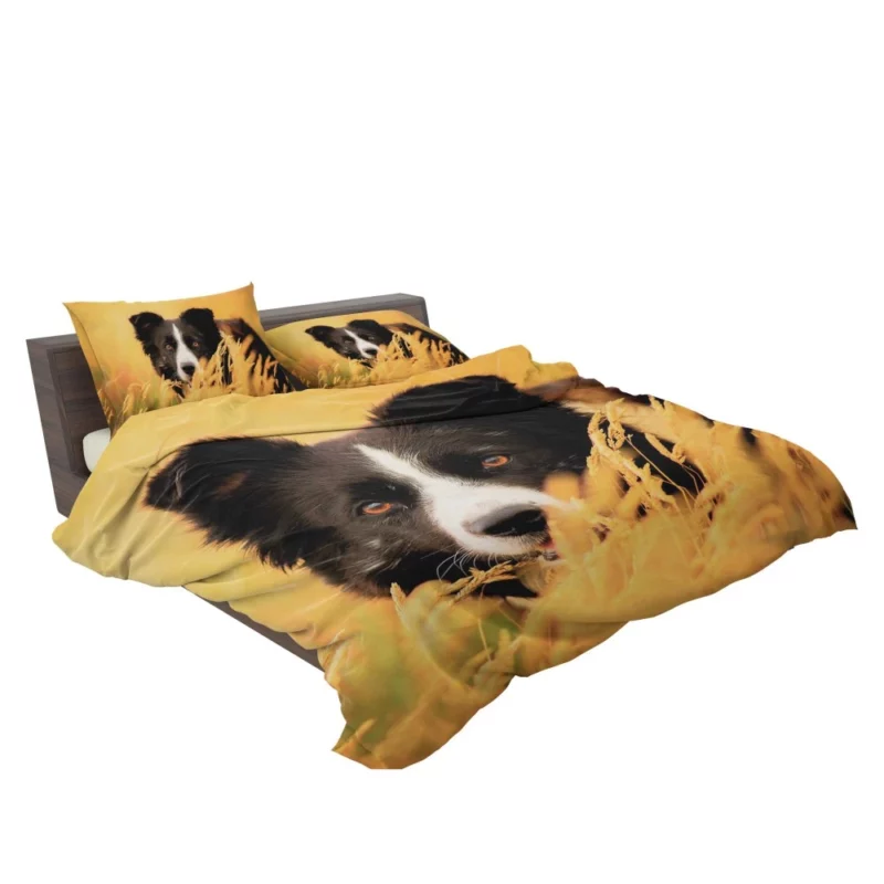 Border Collie in Golden Wheat Field Bedding Set 2