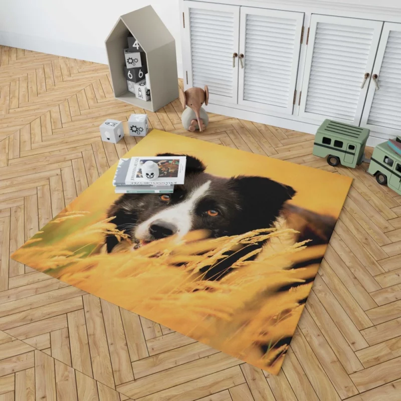 Border Collie in Golden Wheat Field Rug 1