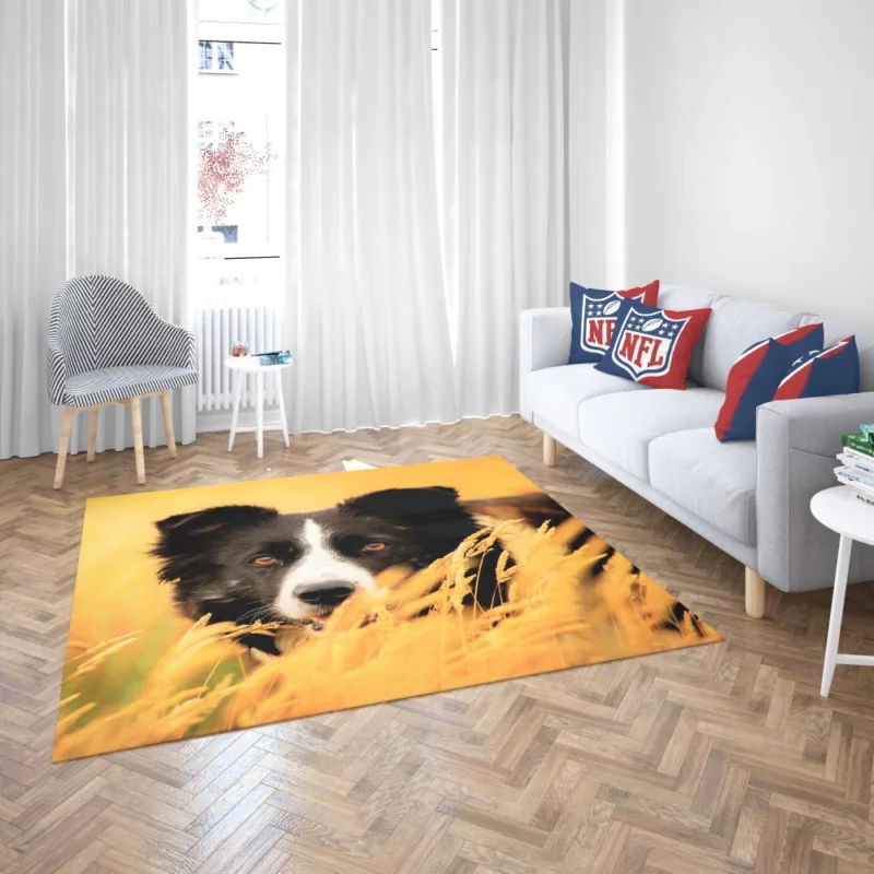 Border Collie in Golden Wheat Field Rug 2