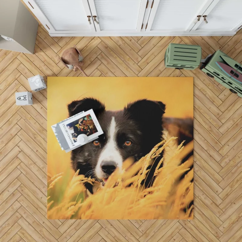 Border Collie in Golden Wheat Field Rug