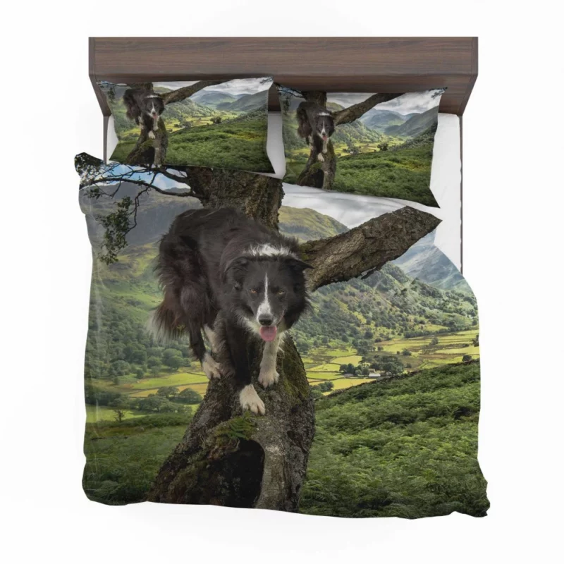 Border Collie in Nature Valley Bedding Set 1