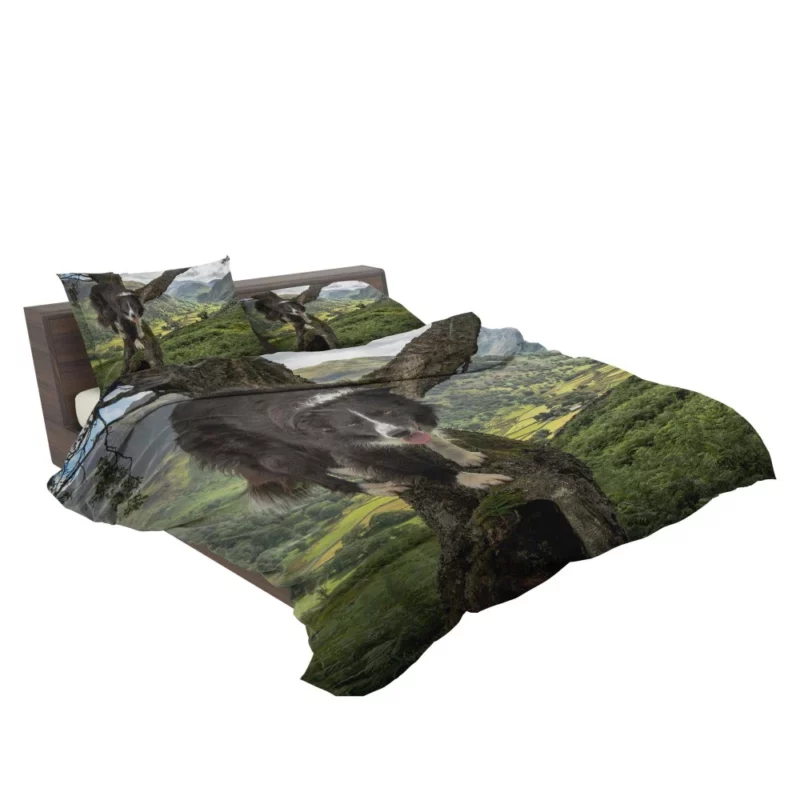 Border Collie in Nature Valley Bedding Set 2