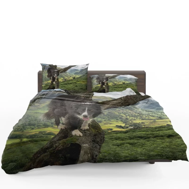 Border Collie in Nature Valley Bedding Set