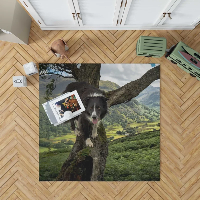 Border Collie in Nature Valley Rug