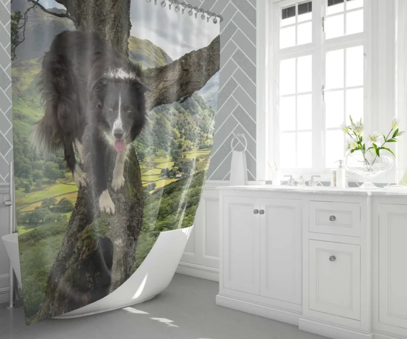 Border Collie in Nature Valley Shower Curtain 1