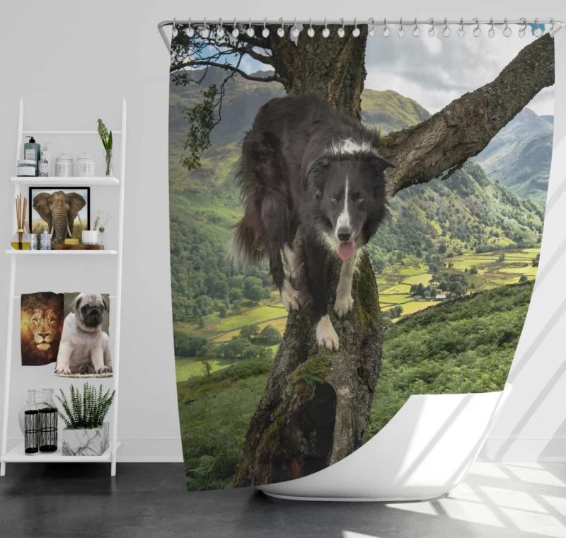 Border Collie in Nature Valley Shower Curtain