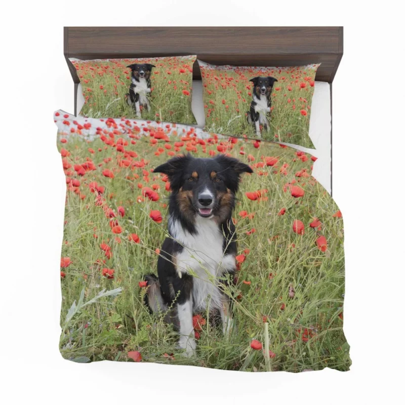 Border Collie in Poppy Field Furry Charm Bedding Set 1