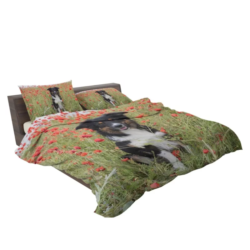 Border Collie in Poppy Field Furry Charm Bedding Set 2