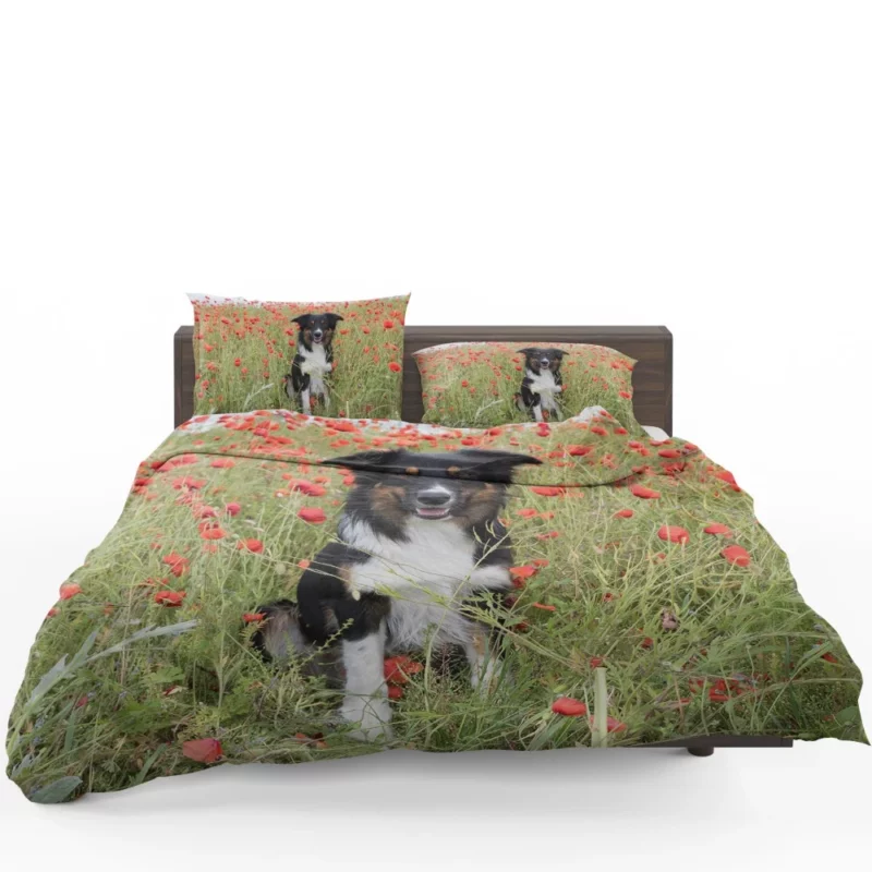 Border Collie in Poppy Field Furry Charm Bedding Set