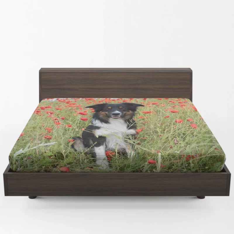 Border Collie in Poppy Field Furry Charm Fitted Sheet