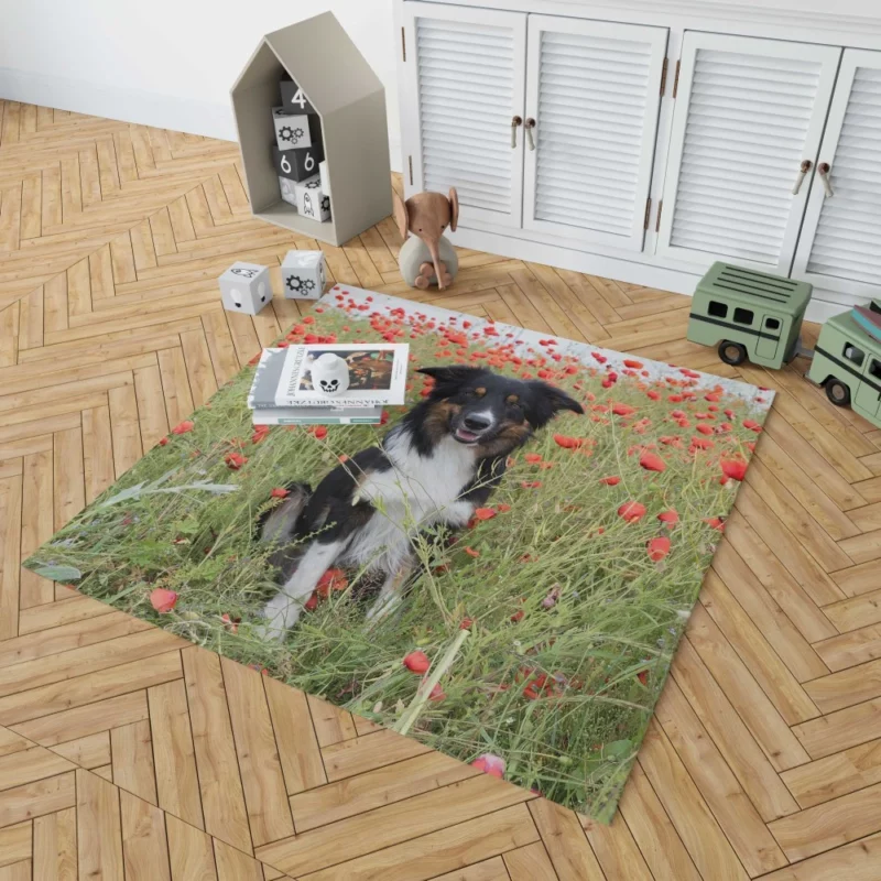 Border Collie in Poppy Field Furry Charm Rug 1