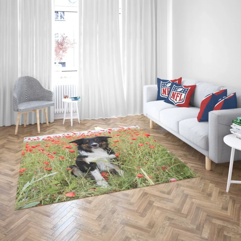 Border Collie in Poppy Field Furry Charm Rug 2