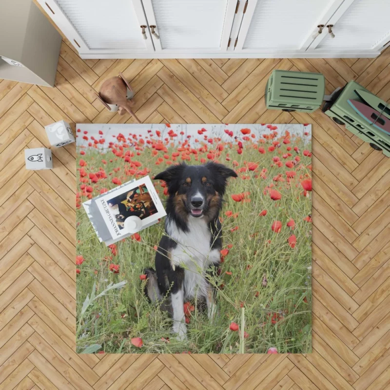 Border Collie in Poppy Field Furry Charm Rug