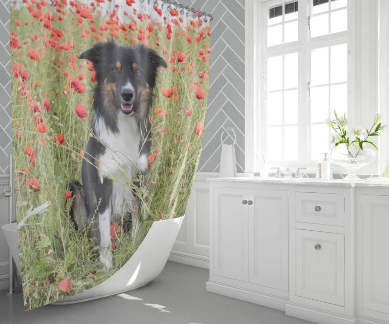 Border Collie in Poppy Field Furry Charm Shower Curtain 1