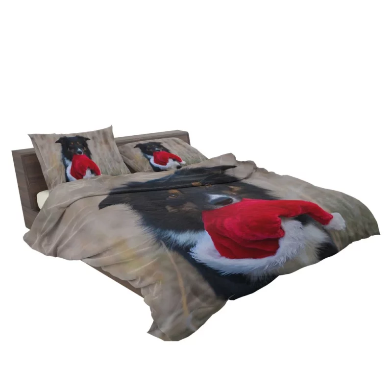 Border Collie in Santa Hat Canine Whimsy Bedding Set 2