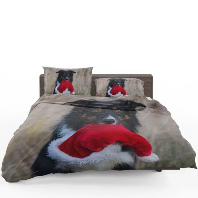 Border Collie in Santa Hat Canine Whimsy Bedding Set