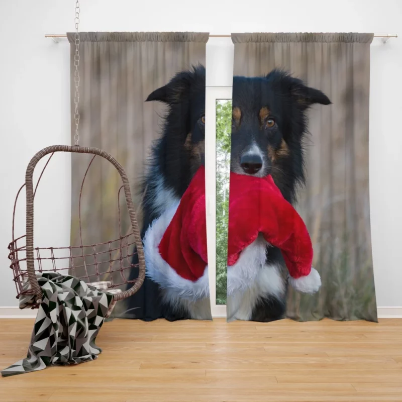 Border Collie in Santa Hat Canine Whimsy Curtain