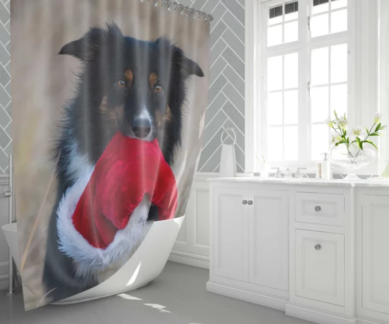 Border Collie in Santa Hat Canine Whimsy Shower Curtain 1