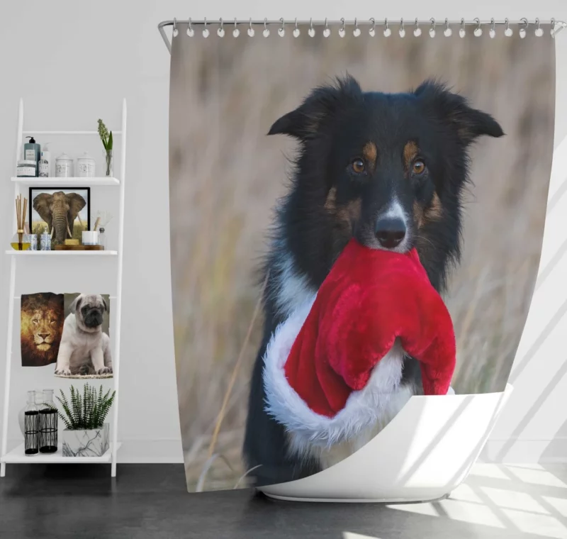 Border Collie in Santa Hat Canine Whimsy Shower Curtain