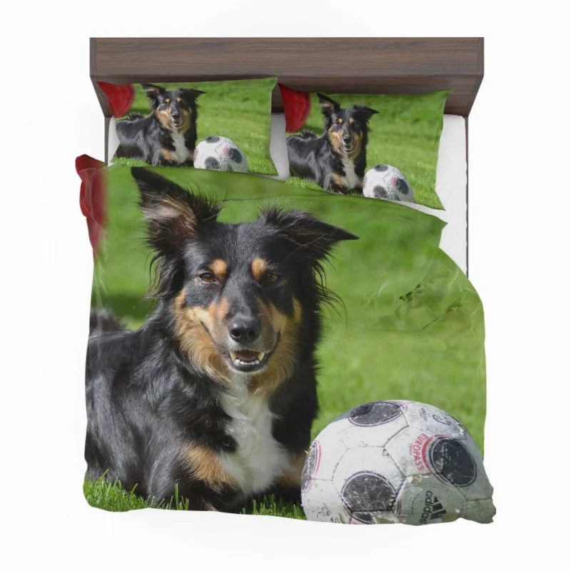 Border Collie with Ball Energetic Play Bedding Set 1