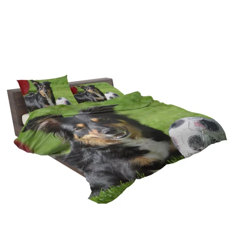 Border Collie with Ball Energetic Play Bedding Set 2