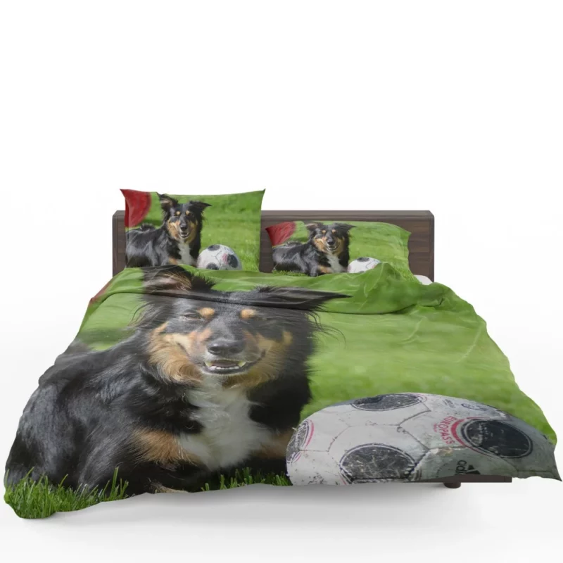 Border Collie with Ball Energetic Play Bedding Set