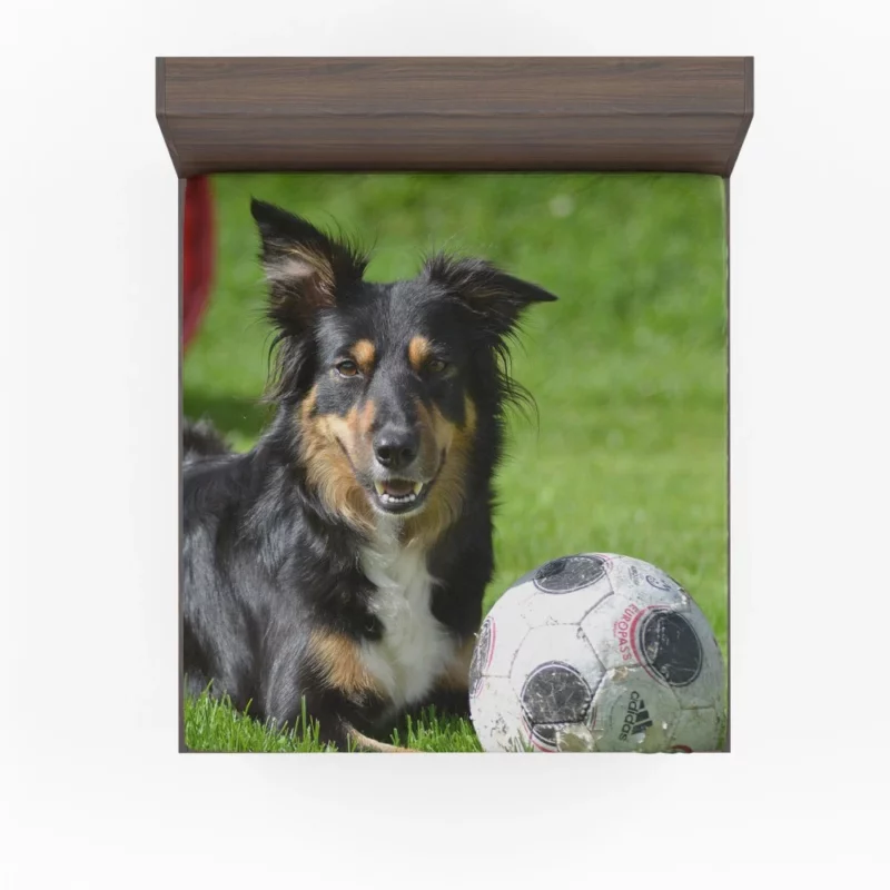 Border Collie with Ball Energetic Play Fitted Sheet 1