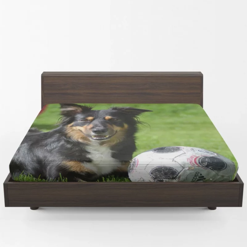 Border Collie with Ball Energetic Play Fitted Sheet