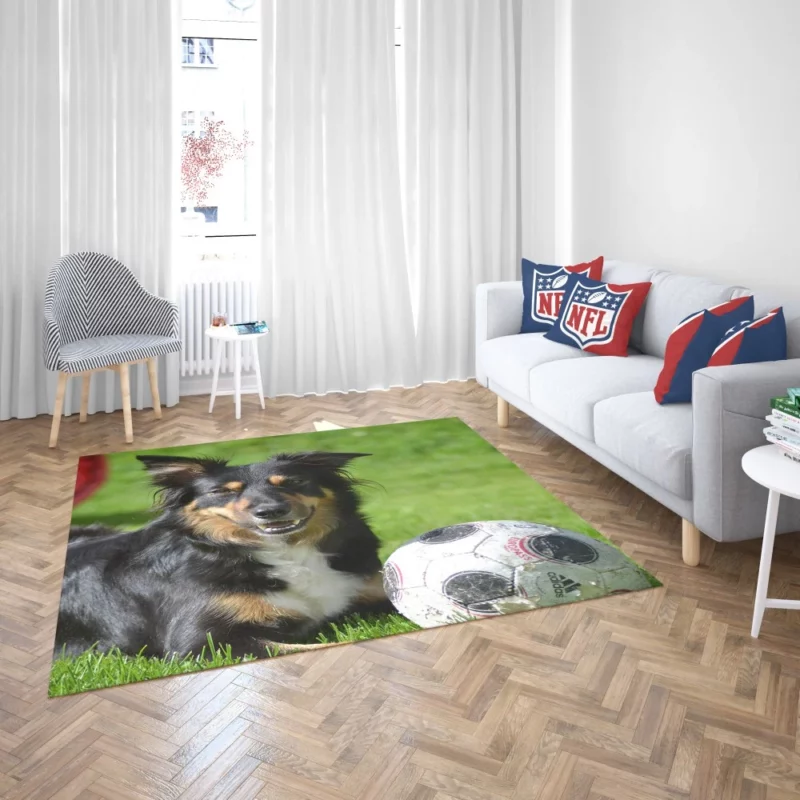 Border Collie with Ball Energetic Play Rug 2