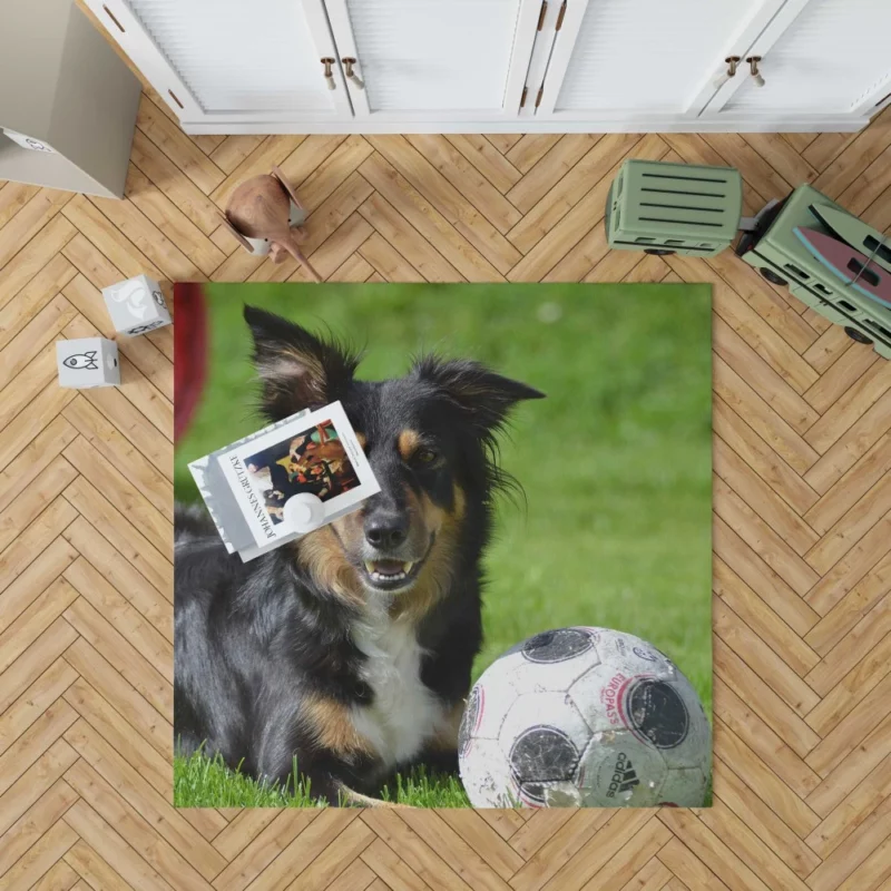 Border Collie with Ball Energetic Play Rug