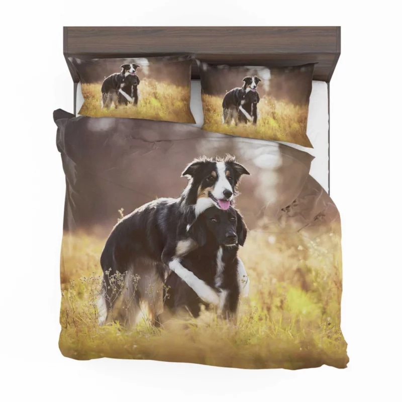 Border Collies in Unity Dynamic Duo Bedding Set 1