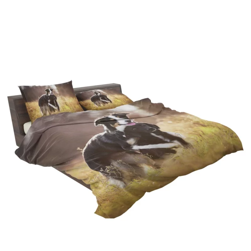 Border Collies in Unity Dynamic Duo Bedding Set 2