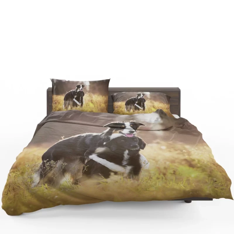 Border Collies in Unity Dynamic Duo Bedding Set