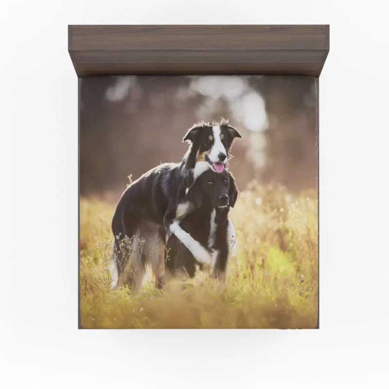 Border Collies in Unity Dynamic Duo Fitted Sheet 1