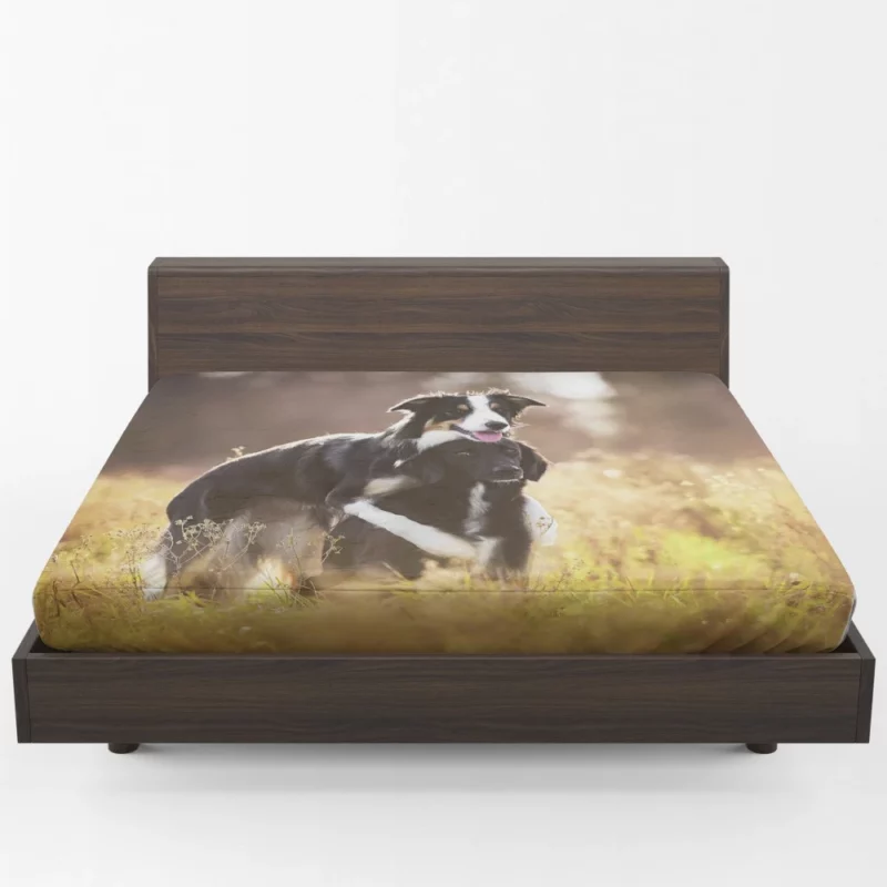 Border Collies in Unity Dynamic Duo Fitted Sheet