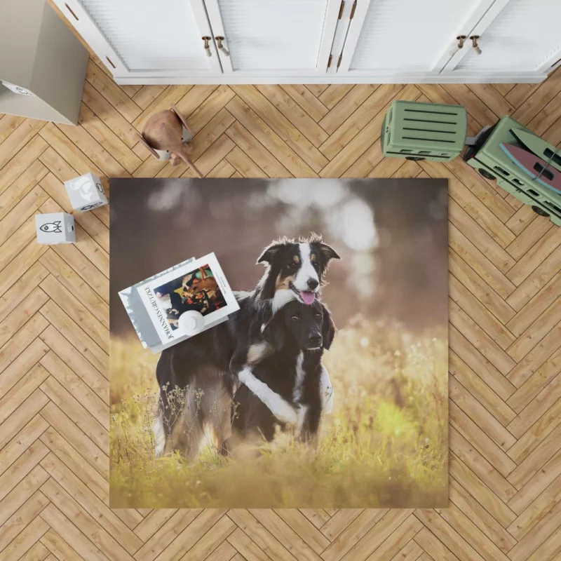 Border Collies in Unity Dynamic Duo Rug