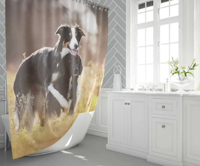 Border Collies in Unity Dynamic Duo Shower Curtain 1