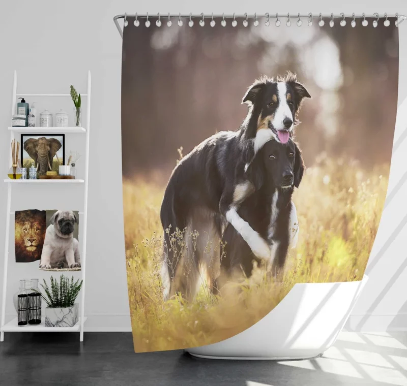 Border Collies in Unity Dynamic Duo Shower Curtain