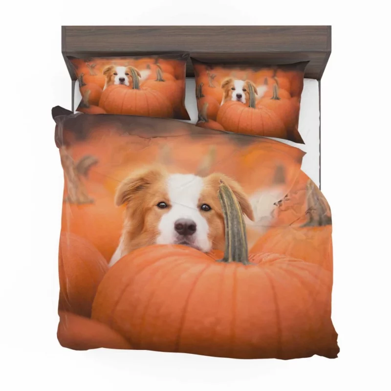 Boston Terrier Autumn Adventure Furry Delight Bedding Set 1